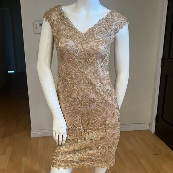 TADASHI SHOJI CORDED EMBROIDERED LACE SHORT DRESS SIZE 4P PETITE - Picture 1 of 4